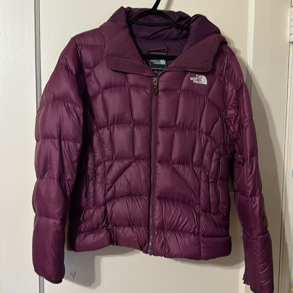 The North Face Down Hooded Puffer